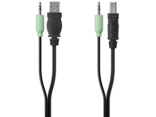 TAA USB/AUD SKVM CBL,6 ft
