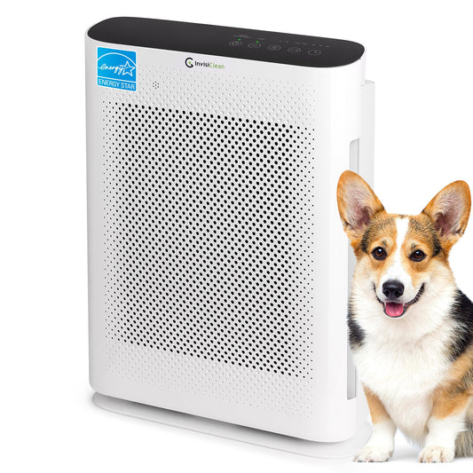 Air Purifier for Home Allergies & Pets | 4-in-1 H13 True HEPA Filter/Ionizer/Carbon + UV Light | Portable Air Purifiers for Larg